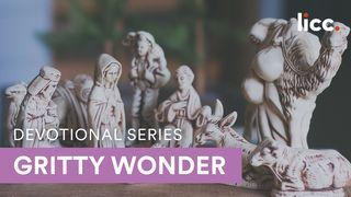 Gritty Wonder: Christmas Through Fresh Eyes Matthew 1:18-25 New International Version
