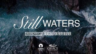 [Unboxing Psalm 23] Still Waters Salmos 23:1-4 Nueva Traducción Viviente