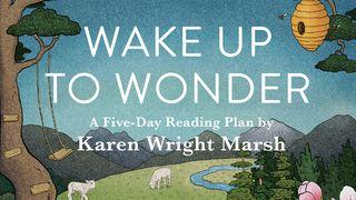 Wake Up to Wonder: 22 Invitations to Amazement in the Everyday a 5-Day Reading Plan by Karen Wright Marsh SPREUKE 21:13 Afrikaans 1983