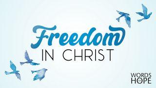 Freedom in Christ Psalms 141:3 Die Boodskap