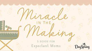 Miracle in the Making: 5 Devotions for Expectant Moms Psalms 9:10 New Living Translation