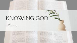 Knowing God John 1:1-28 New Living Translation