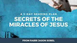 Signs and Miracles of Jesus in the Book of John John 9:1-41 New King James Version