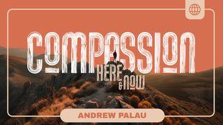 Compassion Here and Now Deuteronomy 32:10 New International Version