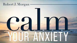 Calm Your Anxiety Ephesians 4:1-6 New International Version