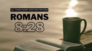 Romans 8:28 Romans 8:38-39 New King James Version