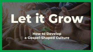 Let It Grow: How to Develop a Gospel-Shaped Culture 1 Peter 5:4-7 New Living Translation