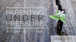 Parenting Under Pressure Exodus 20:17 New Living Translation