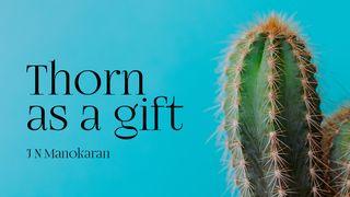 Thorn as a Gift 2 Corinthians 12:9 English Standard Version 2016