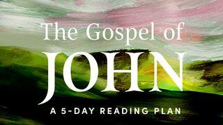 The Gospel of John: Savoring the Peace of Jesus in a Chaotic World Juan 1:29-51 Nueva Traducción Viviente