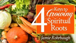 4 Keys to Growing Spiritual Roots Galatians 2:20 New Living Translation