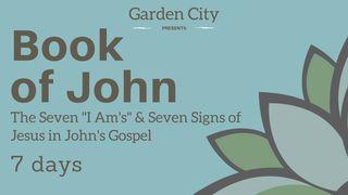 The Book Of John | The 7 "Signs" And The 7 "I AM's" Of Jesus 2 Kings 6:18-23 New Living Translation