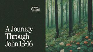 Revive Us, Lord: A Journey Through John 13-16 Lucas 23:1-25 Nueva Traducción Viviente