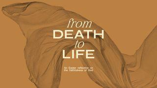 From Death to Life Mark 16:1-20 New International Version