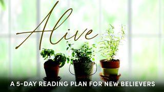 Alive: Grow in Your Relationship With Jesus Romans 5:15-21 New Living Translation