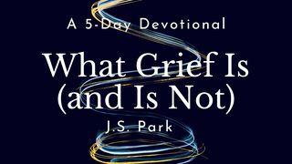 What Grief Is (And Is Not) by J.S. Park Psalms 31:9 New International Version