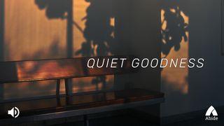 Quiet Goodness Spreuke 17:28 Die Boodskap