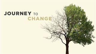 Journey To Change Matthew 15:21-39 New Living Translation