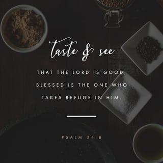 Psalms 34:8 - Oh taste and see that Jehovah is good:
Blessed is the man that taketh refuge in him.