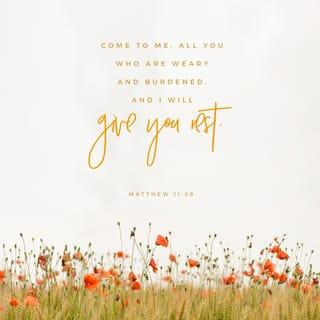 Matthew 11:28-30 - Then Jesus said, “Come to me, all of you who are weary and carry heavy burdens, and I will give you rest. Take my yoke upon you. Let me teach you, because I am humble and gentle at heart, and you will find rest for your souls. For my yoke is easy to bear, and the burden I give you is light.”