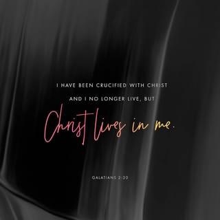Galatians 2:20 - I have been crucified with Christ [that is, in Him I have shared His crucifixion]; it is no longer I who live, but Christ lives in me. The life I now live in the body I live by faith [by adhering to, relying on, and completely trusting] in the Son of God, who loved me and gave Himself up for me.