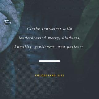 Colossians 3:12-14 - Therefore, as the elect of God, holy and beloved, put on tender mercies, kindness, humility, meekness, longsuffering; bearing with one another, and forgiving one another, if anyone has a complaint against another; even as Christ forgave you, so you also must do. But above all these things put on love, which is the bond of perfection.