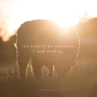 Psalms 23:1-4 - The LORD is my shepherd;
I have all that I need.
He lets me rest in green meadows;
he leads me beside peaceful streams.
He renews my strength.
He guides me along right paths,
bringing honor to his name.
Even when I walk
through the darkest valley,
I will not be afraid,
for you are close beside me.
Your rod and your staff
protect and comfort me.
