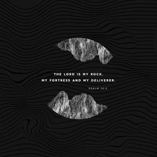 Psalms 18:2 - The LORD is my rock, my fortress, and my savior;
my God is my rock, in whom I find protection.
He is my shield, the power that saves me,
and my place of safety.