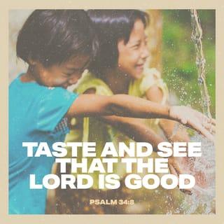 Psalms 34:8 - Examine and see how good the LORD is.
Happy is the person who trusts him.