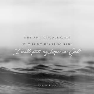 Psalms 42:11 - Why, my soul, are you downcast?
Why so disturbed within me?
Put your hope in God,
for I will yet praise him,
my Savior and my God.