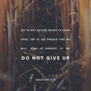 Galatians 6:9-10 - And let us not grow weary of doing good, for in due season we will reap, if we do not give up. So then, as we have opportunity, let us do good to everyone, and especially to those who are of the household of faith.