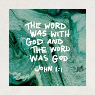 John 1:1-18 - In the beginning was the Word, and the Word was with God, and the Word was God. The same was in the beginning with God. All things were made by him; and without him was not any thing made that was made. In him was life; and the life was the light of men. And the light shineth in darkness; and the darkness comprehended it not.
There was a man sent from God, whose name was John. The same came for a witness, to bear witness of the Light, that all men through him might believe. He was not that Light, but was sent to bear witness of that Light. That was the true Light, which lighteth every man that cometh into the world. He was in the world, and the world was made by him, and the world knew him not. He came unto his own, and his own received him not. But as many as received him, to them gave he power to become the sons of God, even to them that believe on his name: which were born, not of blood, nor of the will of the flesh, nor of the will of man, but of God. And the Word was made flesh, and dwelt among us, (and we beheld his glory, the glory as of the only begotten of the Father,) full of grace and truth.

John bare witness of him, and cried, saying, This was he of whom I spake, He that cometh after me is preferred before me: for he was before me. And of his fulness have all we received, and grace for grace. For the law was given by Moses, but grace and truth came by Jesus Christ. No man hath seen God at any time; the only begotten Son, which is in the bosom of the Father, he hath declared him.