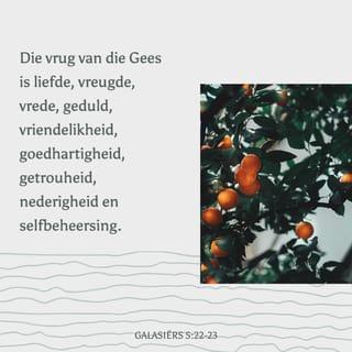 GALASIËRS 5:22-23 AFR83
