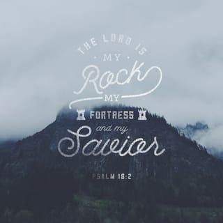 Psalms 18:2 - The LORD is my rock, my fortress, and my savior;
my God is my rock, in whom I find protection.
He is my shield, the power that saves me,
and my place of safety.