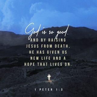 1 Peter 1:3-4 NCV