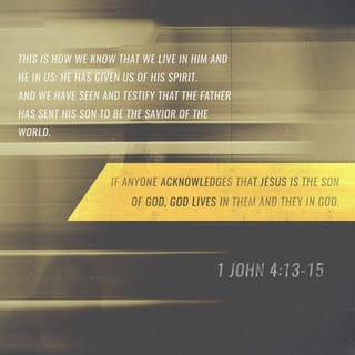 1 John 4:13-18 - By this we know that we abide in him and he in us, because he has given us of his Spirit. And we have seen and testify that the Father has sent his Son to be the Savior of the world. Whoever confesses that Jesus is the Son of God, God abides in him, and he in God. So we have come to know and to believe the love that God has for us. God is love, and whoever abides in love abides in God, and God abides in him. By this is love perfected with us, so that we may have confidence for the day of judgment, because as he is so also are we in this world. There is no fear in love, but perfect love casts out fear. For fear has to do with punishment, and whoever fears has not been perfected in love.