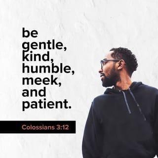 Colossians 3:12 - Since God chose you to be the holy people he loves, you must clothe yourselves with tenderhearted mercy, kindness, humility, gentleness, and patience.