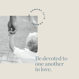 Romans 12:10 - Be devoted to one another in love. Honor one another above yourselves.