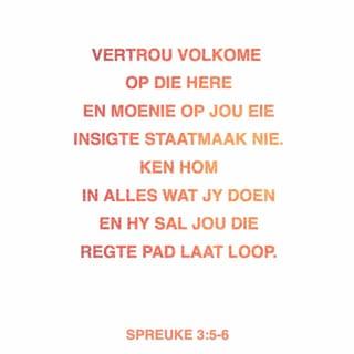 SPREUKE 3:5-6 AFR83