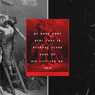 1 John 3:16-20 - Hereby perceive we the love of God, because he laid down his life for us: and we ought to lay down our lives for the brethren. But whoso hath this world's good, and seeth his brother have need, and shutteth up his bowels of compassion from him, how dwelleth the love of God in him? My little children, let us not love in word, neither in tongue; but in deed and in truth.
And hereby we know that we are of the truth, and shall assure our hearts before him. For if our heart condemn us, God is greater than our heart, and knoweth all things.