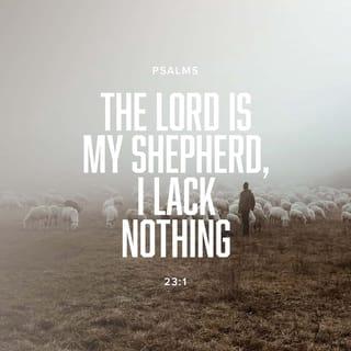 Psalms 23:1-6 - The LORD is my shepherd;
I have all that I need.
He lets me rest in green meadows;
he leads me beside peaceful streams.
He renews my strength.
He guides me along right paths,
bringing honor to his name.
Even when I walk
through the darkest valley,
I will not be afraid,
for you are close beside me.
Your rod and your staff
protect and comfort me.
You prepare a feast for me
in the presence of my enemies.
You honor me by anointing my head with oil.
My cup overflows with blessings.
Surely your goodness and unfailing love will pursue me
all the days of my life,
and I will live in the house of the LORD
forever.