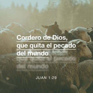 S. Juan 1:29-51 RVR1960