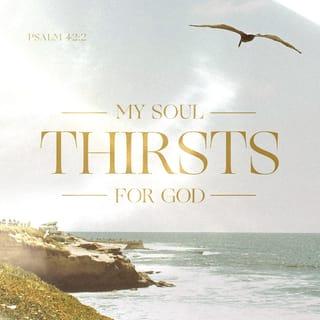 Psalms 42:1-11 - As the deer pants for streams of water,
so my soul pants for you, my God.
My soul thirsts for God, for the living God.
When can I go and meet with God?
My tears have been my food
day and night,
while people say to me all day long,
“Where is your God?”
These things I remember
as I pour out my soul:
how I used to go to the house of God
under the protection of the Mighty One
with shouts of joy and praise
among the festive throng.

Why, my soul, are you downcast?
Why so disturbed within me?
Put your hope in God,
for I will yet praise him,
my Savior and my God.

My soul is downcast within me;
therefore I will remember you
from the land of the Jordan,
the heights of Hermon—from Mount Mizar.
Deep calls to deep
in the roar of your waterfalls;
all your waves and breakers
have swept over me.

By day the LORD directs his love,
at night his song is with me—
a prayer to the God of my life.

I say to God my Rock,
“Why have you forgotten me?
Why must I go about mourning,
oppressed by the enemy?”
My bones suffer mortal agony
as my foes taunt me,
saying to me all day long,
“Where is your God?”

Why, my soul, are you downcast?
Why so disturbed within me?
Put your hope in God,
for I will yet praise him,
my Savior and my God.