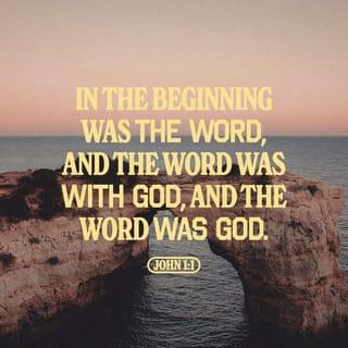 John 1:1-18 - In the beginning was the Word, and the Word was with God, and the Word was God. The same was in the beginning with God. All things were made by him; and without him was not any thing made that was made. In him was life; and the life was the light of men. And the light shineth in darkness; and the darkness comprehended it not.
There was a man sent from God, whose name was John. The same came for a witness, to bear witness of the Light, that all men through him might believe. He was not that Light, but was sent to bear witness of that Light. That was the true Light, which lighteth every man that cometh into the world. He was in the world, and the world was made by him, and the world knew him not. He came unto his own, and his own received him not. But as many as received him, to them gave he power to become the sons of God, even to them that believe on his name: which were born, not of blood, nor of the will of the flesh, nor of the will of man, but of God. And the Word was made flesh, and dwelt among us, (and we beheld his glory, the glory as of the only begotten of the Father,) full of grace and truth.

John bare witness of him, and cried, saying, This was he of whom I spake, He that cometh after me is preferred before me: for he was before me. And of his fulness have all we received, and grace for grace. For the law was given by Moses, but grace and truth came by Jesus Christ. No man hath seen God at any time; the only begotten Son, which is in the bosom of the Father, he hath declared him.