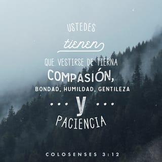 Colosenses 3:12 - Dado que Dios los eligió para que sean su pueblo santo y amado por él, ustedes tienen que vestirse de tierna compasión, bondad, humildad, gentileza y paciencia.