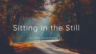 Sedět ve ztišení: Sedm dní očekávání uprostřed Božího slibu
