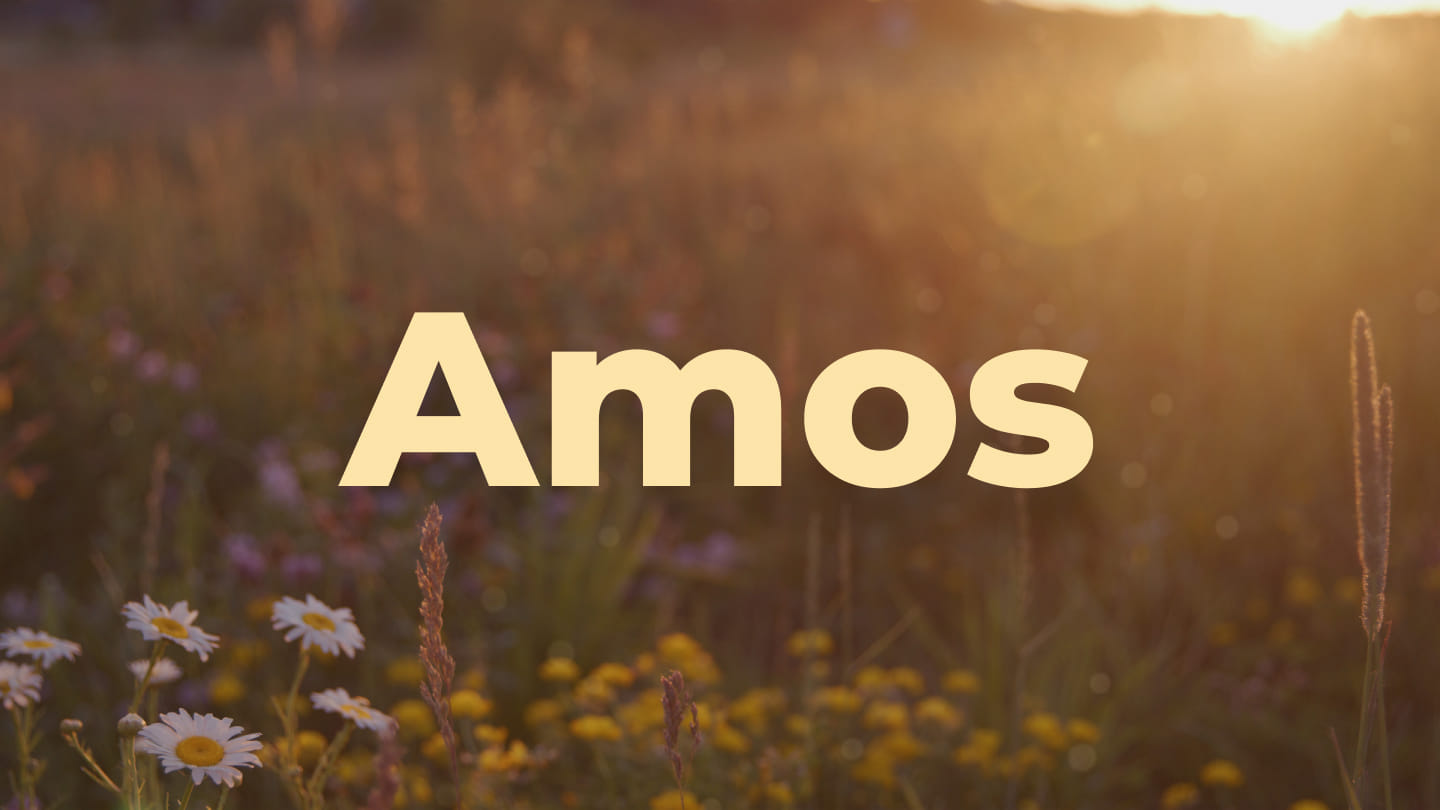 Amos—The Wake Up Call to a Sleepy Nation