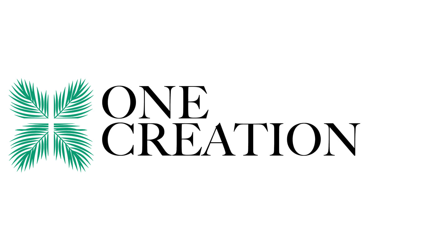 Welcome to One Creation Church! April 28