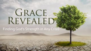 Grace Revealed: Finding God's Strength In Any Crisis Psalms 91:13 Amplified Bible