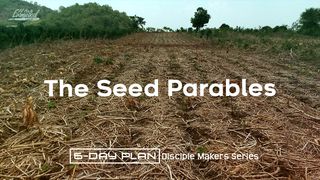 The Seed Parables - Disciple Makers Series #14 マタイによる福音書 13:30, 40-42, 47-50 Seisho Shinkyoudoyaku 聖書 新共同訳
